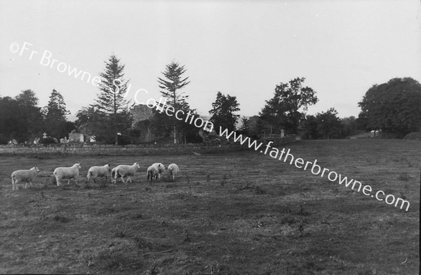 SLELTY (SLEIBLE) RUINS FROM E.